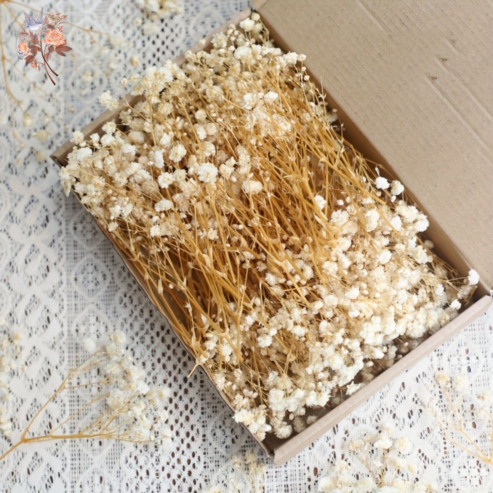 100 Stück Mini Getrocknete Sch – Beaded Trim Fringe Bewertung und Preis